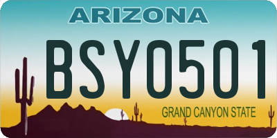 AZ license plate BSY0501