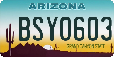 AZ license plate BSY0603