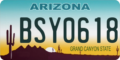 AZ license plate BSY0618