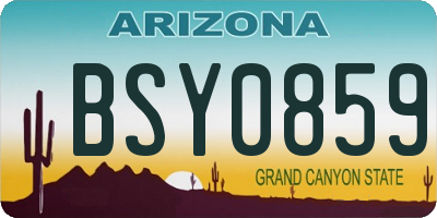 AZ license plate BSY0859