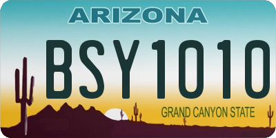 AZ license plate BSY1010