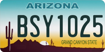 AZ license plate BSY1025