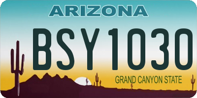 AZ license plate BSY1030