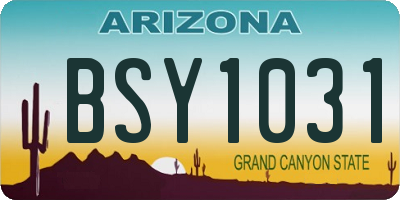 AZ license plate BSY1031