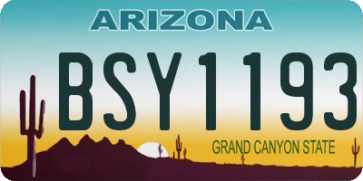 AZ license plate BSY1193