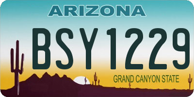 AZ license plate BSY1229