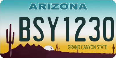 AZ license plate BSY1230