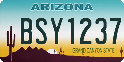 AZ license plate BSY1237