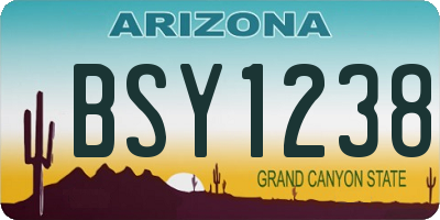 AZ license plate BSY1238