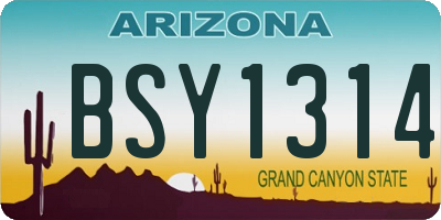 AZ license plate BSY1314