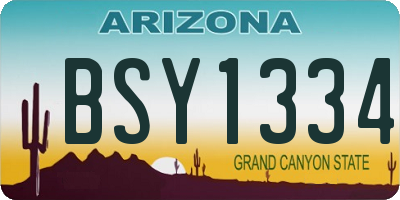 AZ license plate BSY1334
