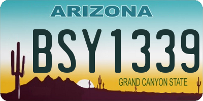 AZ license plate BSY1339