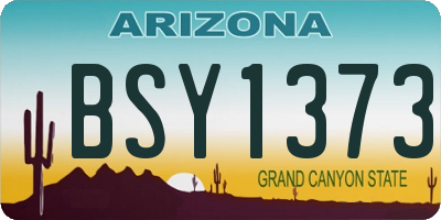 AZ license plate BSY1373