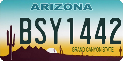 AZ license plate BSY1442