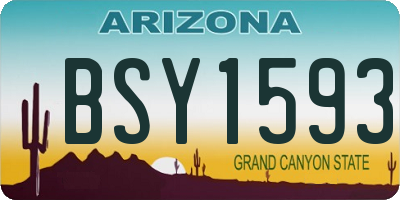 AZ license plate BSY1593