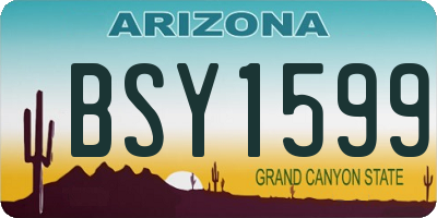 AZ license plate BSY1599