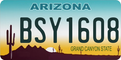 AZ license plate BSY1608