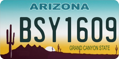 AZ license plate BSY1609