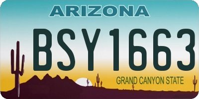 AZ license plate BSY1663