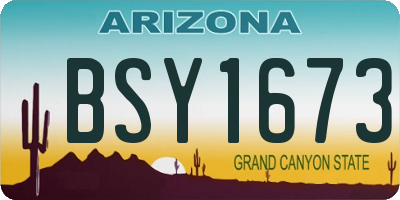 AZ license plate BSY1673