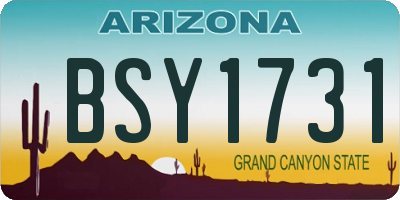 AZ license plate BSY1731