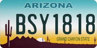 AZ license plate BSY1818
