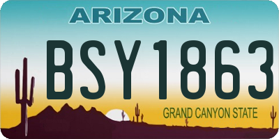 AZ license plate BSY1863