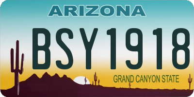 AZ license plate BSY1918