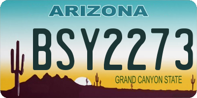 AZ license plate BSY2273
