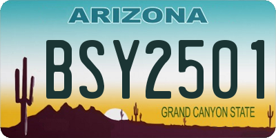 AZ license plate BSY2501