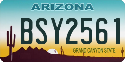 AZ license plate BSY2561