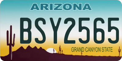 AZ license plate BSY2565