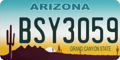 AZ license plate BSY3059