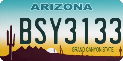AZ license plate BSY3133