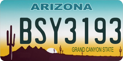AZ license plate BSY3193