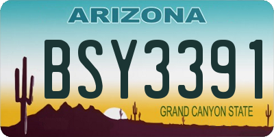 AZ license plate BSY3391