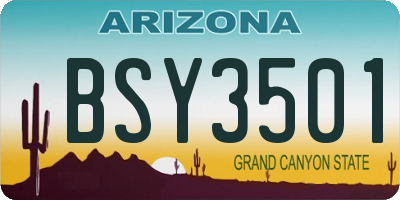 AZ license plate BSY3501