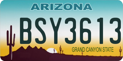 AZ license plate BSY3613