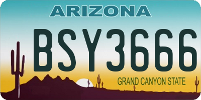 AZ license plate BSY3666