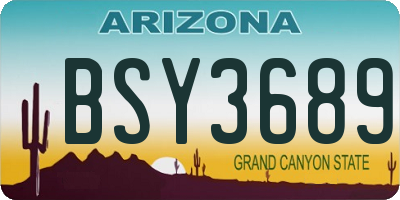 AZ license plate BSY3689