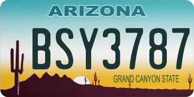 AZ license plate BSY3787