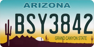 AZ license plate BSY3842