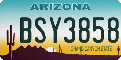 AZ license plate BSY3858