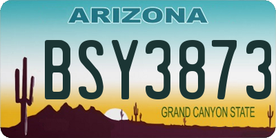 AZ license plate BSY3873