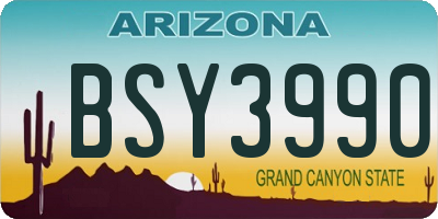 AZ license plate BSY3990