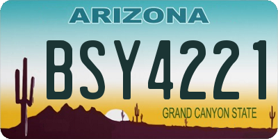 AZ license plate BSY4221