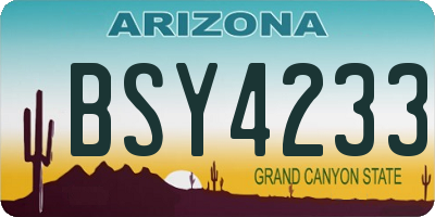 AZ license plate BSY4233