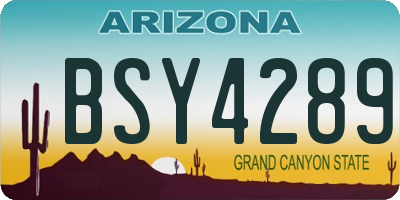 AZ license plate BSY4289