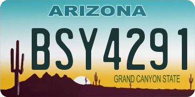 AZ license plate BSY4291