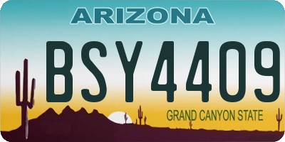 AZ license plate BSY4409